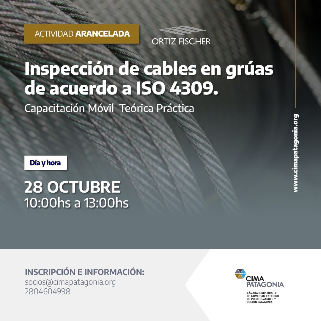 INSPECCIÓN DE CABLES EN GRÚAS DE ACUERDO A ISO 4309